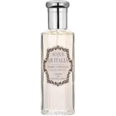 Cedro di Pantelleria